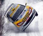 Ράλλυ αυτοκίνητο στο χιόνι